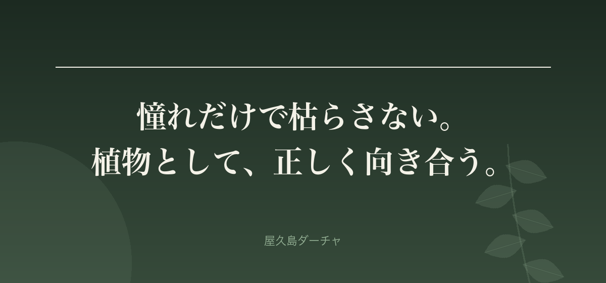 憧れだけで枯らさない。 植物として、正しく向き合う。