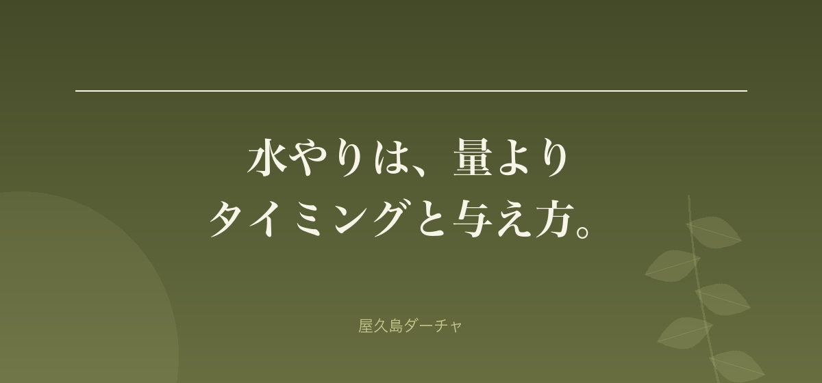 水やりは、量より タイミングと与え方。