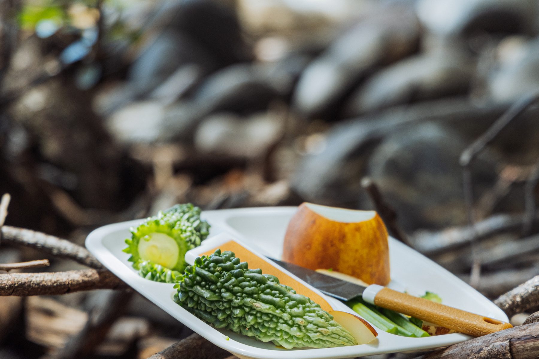 屋久島で育った野菜