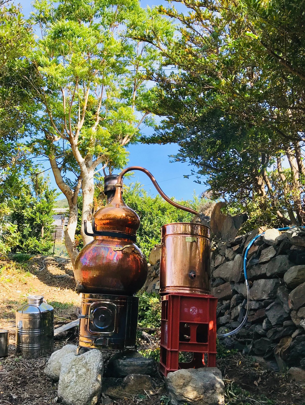 一族の土地を訪ねる日